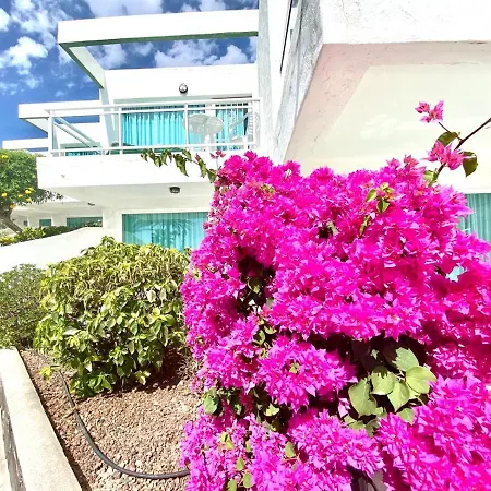 Two Bedroom With Pool View In Playa Del Aguila, San Agustin Lägenhet